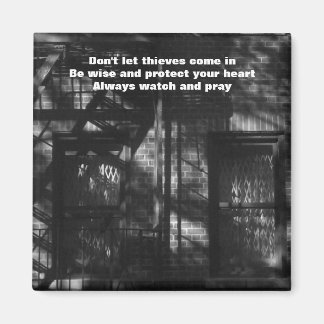 Ne laissez pas les voleurs venir dans Magnet