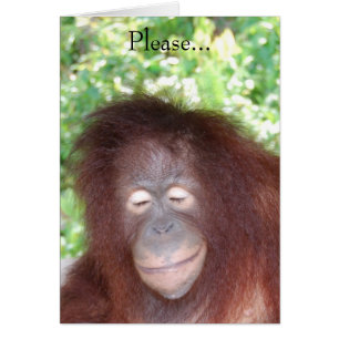 Ne me hais pas parce que je suis belle