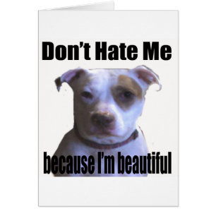 Ne me hais pas parce que je suis belle Pit Bull