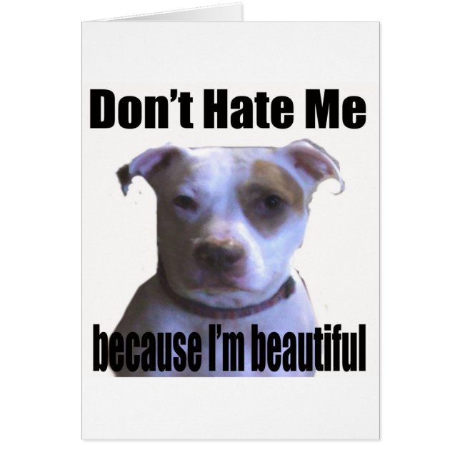 Ne me hais pas parce que je suis belle Pit Bull (Devant)