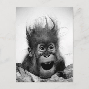 NE PANIQUE PAS ! Carte postale