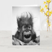 NE PANIQUEZ PAS ! Carte de voeux (Fleur jaune)