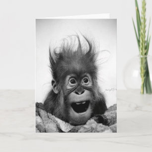 NE PANIQUEZ PAS ! Carte de voeux