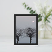 Ne pas aller carte postale (Debout devant)