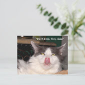 Ne pas boire Rester propre Chat Carte postale (Debout devant)