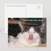 Ne pas boire Rester propre Chat Carte postale (Devant / Derrière)
