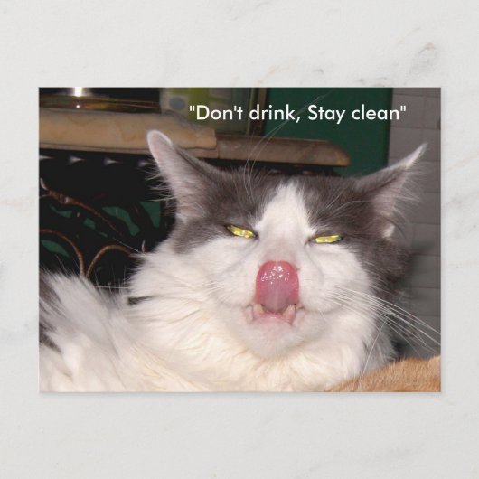 Ne pas boire Rester propre Chat Carte postale (Devant)