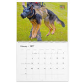« NE PAS CAResser » - Calendrier des chiens de tra (Feb 2027)