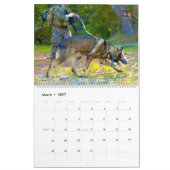 « NE PAS CAResser » - Calendrier des chiens de tra (Mar 2027)