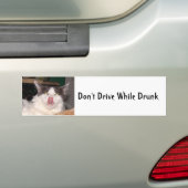 Ne pas conduire ivre Funny chat Bumper Sticker (En voiture)