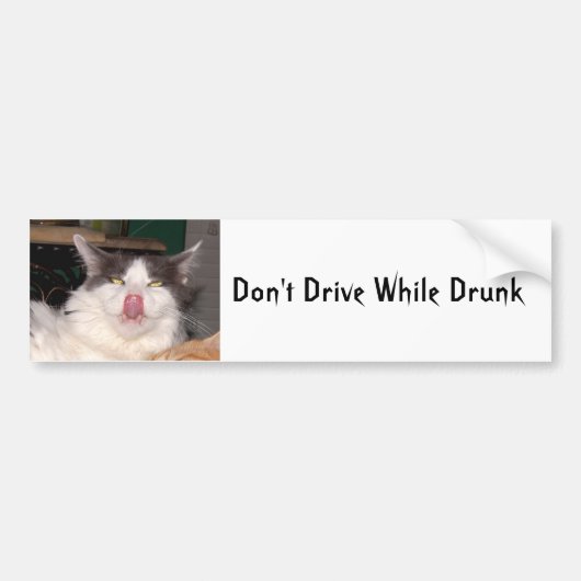 Ne pas conduire ivre Funny chat Bumper Sticker (Devant)