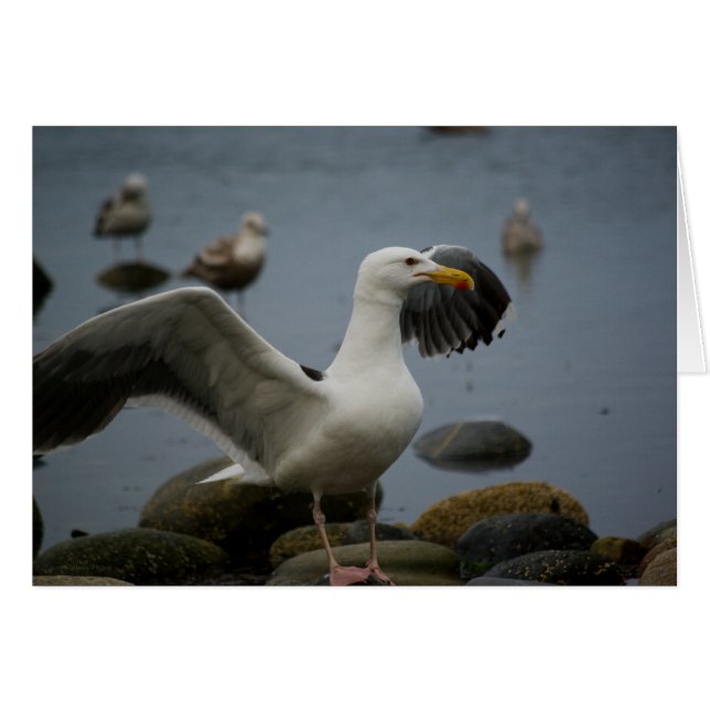 Ne pas déranger la carte (Devant Horizontal)