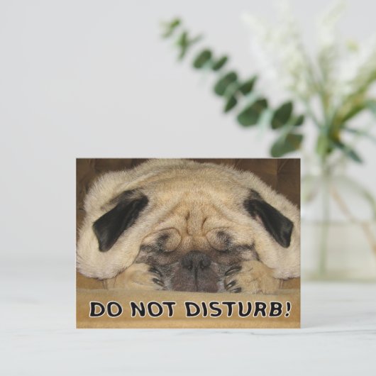 Ne pas déranger la carte postale Carlin (Debout devant)