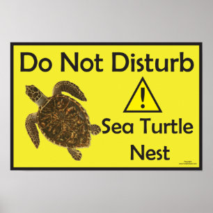 Ne pas déranger la tortue de mer affiche de nid