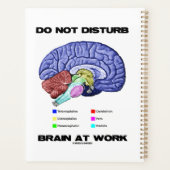 Ne Pas Déranger Le Cerveau Au Travail Conseils Ana (Dos)