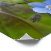 Ne pas m'oublier poster (Coin)