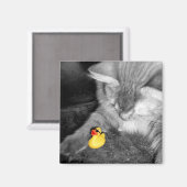 'Ne pas nourrir le chat' Roubber Duck Magnet (Recto/Verso)