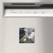 'Ne pas nourrir le chat' Roubber Duck Magnet (In Situ (Lave-vaisselle))