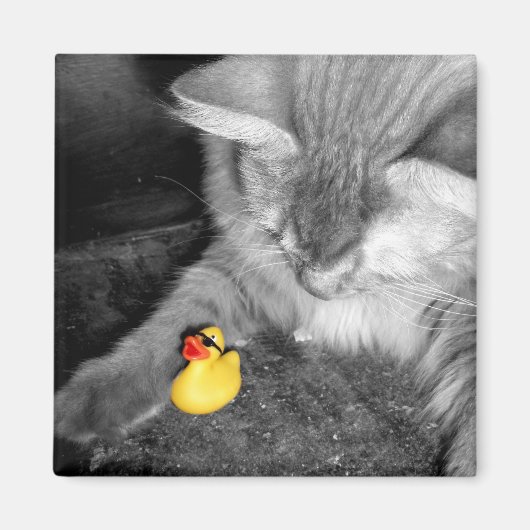'Ne pas nourrir le chat' Roubber Duck Magnet (Devant)