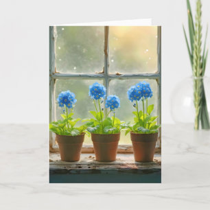Ne pas oublier les pots de fleurs dans une fenêtre