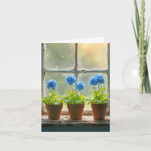 Ne pas oublier les pots de fleurs dans une fenêtre (Devant)