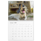 "NE PAS PET" - Calendrier des chiens de travail mi (Jan 2027)