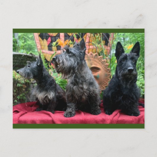 Ne pas regarder la carte postale (Devant)