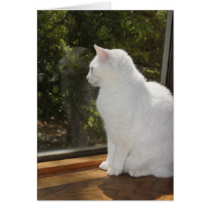 Ne peut pas attendre pour vous voir