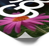 Ne sois pas une oie bête, une oie bête Poster (Coin)