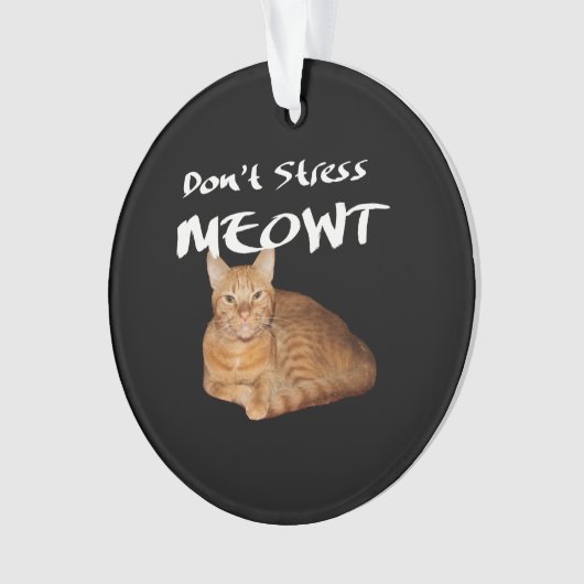 Ne stress pas Meowt - Orange Chat me stress Out (devant)