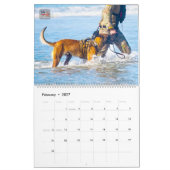 “NE TOUCHEZ PAS” - Calendrier des chiens militaire (Feb 2027)