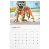 “NE TOUCHEZ PAS” - Calendrier des chiens militaire (Jan 2027)