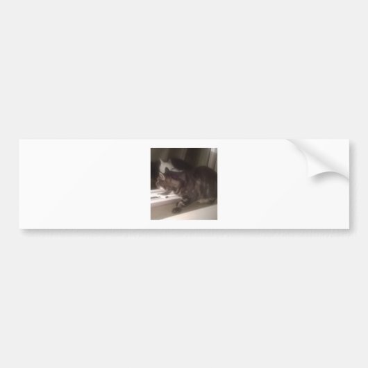 Ne vous parlez pas Dave Bumper Sticker (Devant)