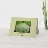 Ne vous tenez pas à ma carte grave (Dos)