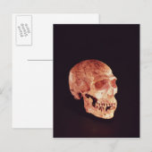 Neanderthaler ontdekt op Mt Carmel Briefkaart (Voorkant / Achterkant)