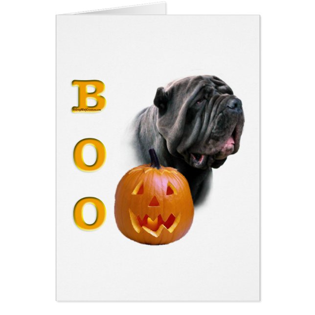 Neapolitain Mastiff Boo (Devant)