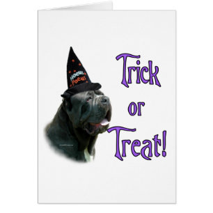 Neapolitain Mastiff Trick