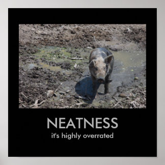 NEATNESS: het is zwaar overbelast Poster