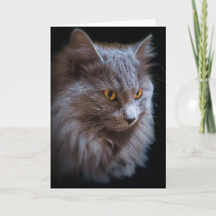 Nebelung Langharige Russische Blauwe Kat Portret Kaart