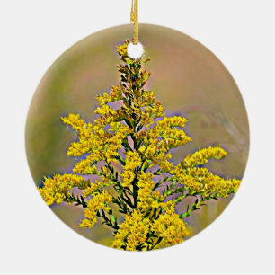 Nebraska Goldenrod Keramisch Ornament
