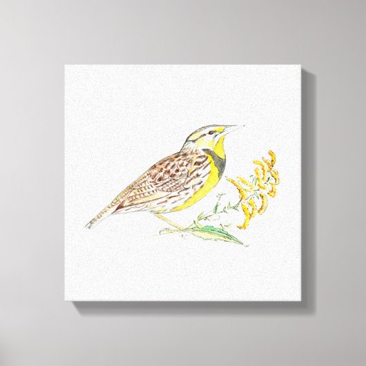 Nebraska Stretched Canvas Afdrukken (Voorkant)