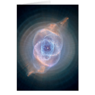 Nebula oculaire des chats