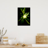 nebula poster (Keuken)