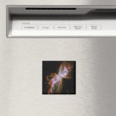 Nébuleuse de l'Aile Magnet (In Situ (Lave-vaisselle))