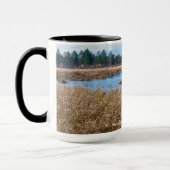 necedah sedge meadow wetlands en bos mok (Links)