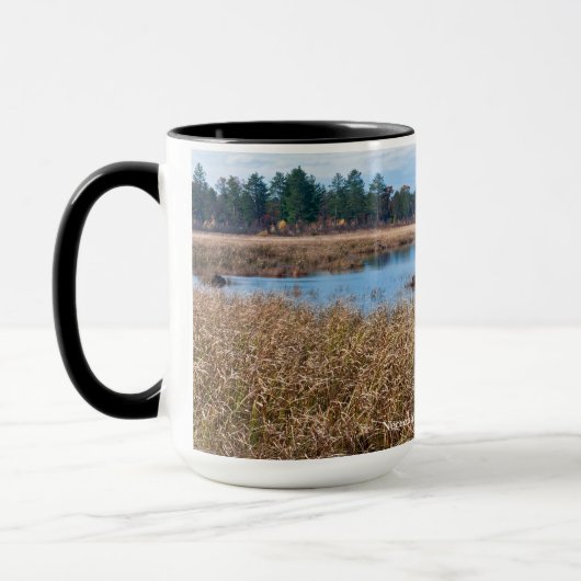 necedah sedge meadow wetlands en bos mok (Links)