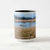 necedah sedge meadow wetlands en bos mok (Midden)