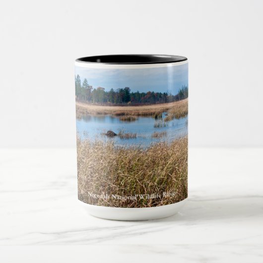 necedah sedge meadow wetlands en bos mok (Midden)