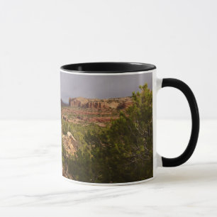 Neck Springs Trail in Canyonlands National Park Mok