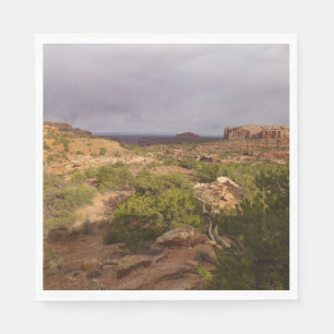 Neck Springs Trail in Canyonlands National Park Servet